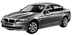 BMW F10 B15BA Fault Code